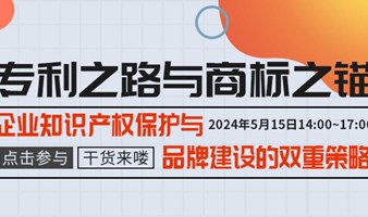 企业知识产权保护与品牌建设的双重策略（商标注册、专利申请）