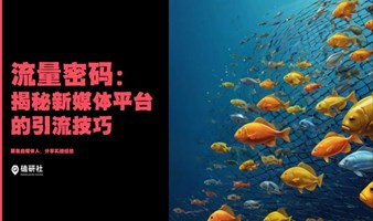 【磕研社】流量密码：揭秘新媒体平台的引流技巧