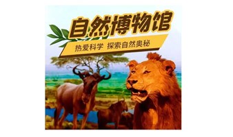 暑期研学天天发 【自然博物馆】在科学的海洋里 地球的霸主和人类的朋友