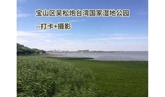 2024.06.09周日下午宝山区吴松炮台湾国家湿地公园徒步打卡+摄影