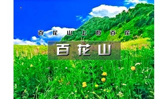 1日｜又见•百花山｜百花山上有百花の漫山鲜花-无边草甸-长长栈道-缭绕云雾