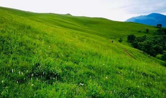 黄草梁徒步  周末一日游-古道明珠黄草梁9公里徒步环穿-北京驴友后花园