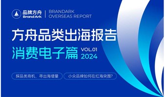 【纸质报告】品牌方舟丨2024年方舟品类出海报告——消费电子篇