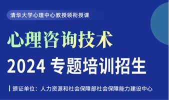 心理咨询技术2024专题培训