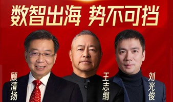 数智出海势不可挡【顾清扬|王志纲|刘光俊】