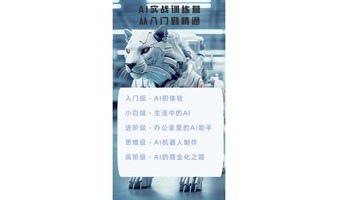 AI实战训练营：从零到精通