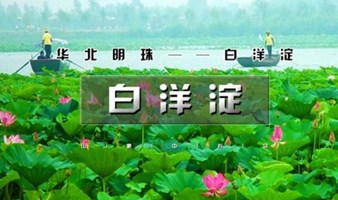 1日｜白洋淀｜荷花仙境の十里环园路-百顷荷花塘-千丈赏花桥-万米船航道