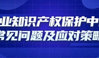 企业知识产权保护中的常见问题及应对策略