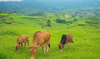 【假期】徒步绍兴的小西藏、小武功山：五百岗，探索云端高山村落（上海1日线）