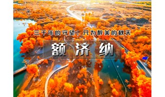 国庆5天｜又见•额济纳｜为千年胡扬林而来の额济纳-黑城怪树林-居延海-中蒙边境