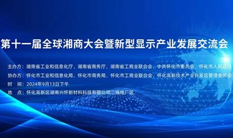 全球湘商大会暨新型显示产业发展交流会