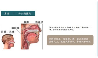 鼻炎专项疗法