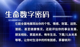 一对一解读自己、孩子天赋、财富、亲子关系、亲密关系、自我成长、情绪健康