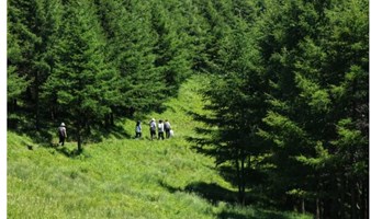 周末1日｜徒个麻田岭｜北京周边发现一个小天山の麻田岭10公里小环穿<初级强度>秋色渲染