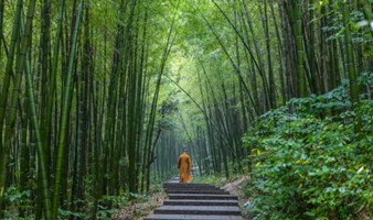 【假期】徒步湖州风车古道，探寻千年古刹，逛吃当地网红古镇（上海1日线）