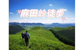 周末国庆1日【麻田岭】云中草原小天山｜阿勒泰版本的徒步体验-麻田岭10公里环穿<初级强度>