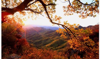 确定发团，一叶知秋·喇叭沟门丨叶红漫山，层林尽染，1日徒步