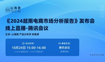 2024越南电商市场分析报告