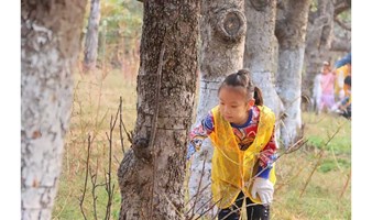 志愿北京2时长 海淀亲子游【冬日新装】小树刷白，风车标本棉花糖制作，无动力乐园，