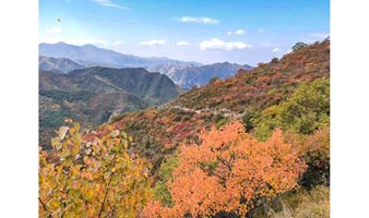 金秋北灵山 北京爬山1日游 北京登山路上 -高山草甸-徒步北灵山秋景