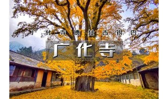 周末1日｜广化寺｜鲜为人知广化寺古银杏-京门铁路-广化寺-西山古道-琉璃渠10公里徒步<初级>