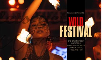 ToughCookie球琦WILD FESTIVAL万圣节后狂欢之夜