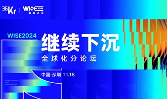 WISE2024商业之王——「继续下沉」全球化分论坛