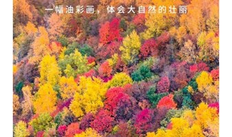 北京相亲 周六1日｜情定麻田岭｜百名单身徒步相约の北京周边发现一个新疆小天山