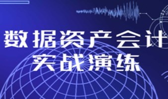 《数据资产会计实战演练》