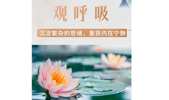 广州线下沙龙，打坐观呼吸体验