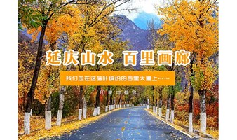 周末1日｜百里画廊｜醉美秋色-延庆百里山水画廊-领略深秋延庆山水之美