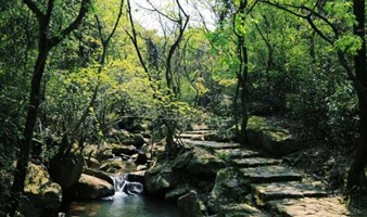 【周日】轻徒步宁波的小庐山，峡谷溪流戏水，探寻“江南的平遥古城”慈城古城（上海1天活动）