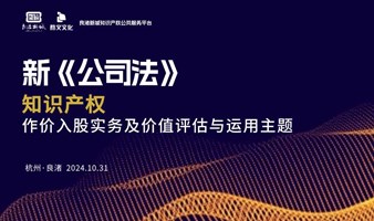 新《公司法》下，知识产权作价入股及价值评估