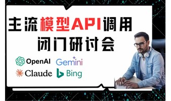 海外大模型API调用闭门研讨会