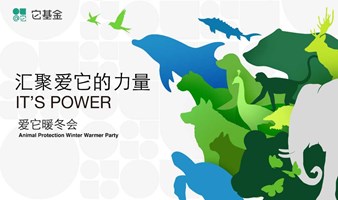 2024爱它暖冬会——IT'S POWER汇聚爱它的力量