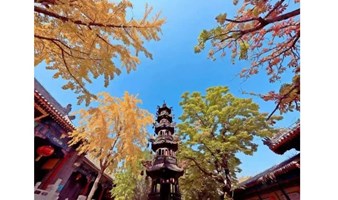 11.9周六免门票户外徒步活动：千年云居寺银杏红叶+石经山西天取经