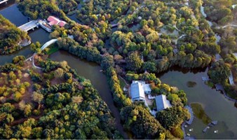 【单身活动】海珠湿地|探寻广州城市的绿心，岭南文化发源地（广州）