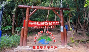 20241215梅林山郊野径徒步D11