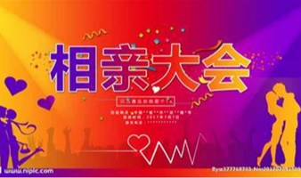优质男女脱单大会