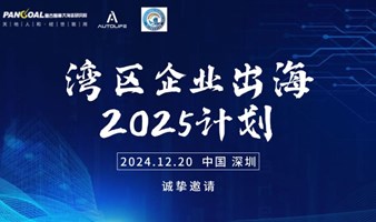 湾区企业出海 2025计划