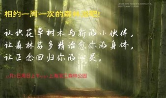 上海滨江森林公园森林疗愈