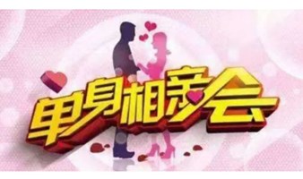 优质男女脱单活动