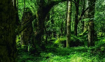 跟着梦云一起徒步【2.3  周一】