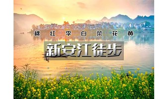 2日｜又见•新安江徒步｜重走唐诗之路の新安江-石潭-下汰-徽州古城-水墨徽州行摄