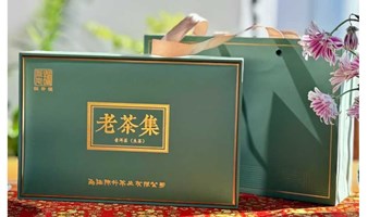 周日古树老茶集品鉴会