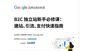 B2C独立站新手必修课：建站、引流、支付快速指南