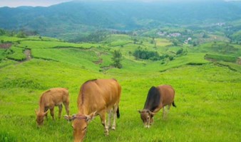 【周日】徒步绍兴的小西藏、小武功山：五百岗，探索云端高山村落（上海1日线）