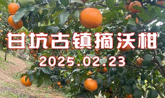 20250223甘坑古镇摘沃柑（含保险+护照仅限首次）