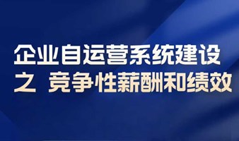 2025.05.22企业自运营系统建设之竞争性薪酬和绩效