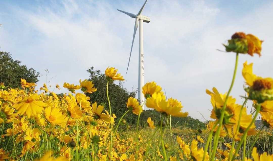 【周六】相约宁波的香格里拉，徜徉在最美风车公路（上海1天活动）